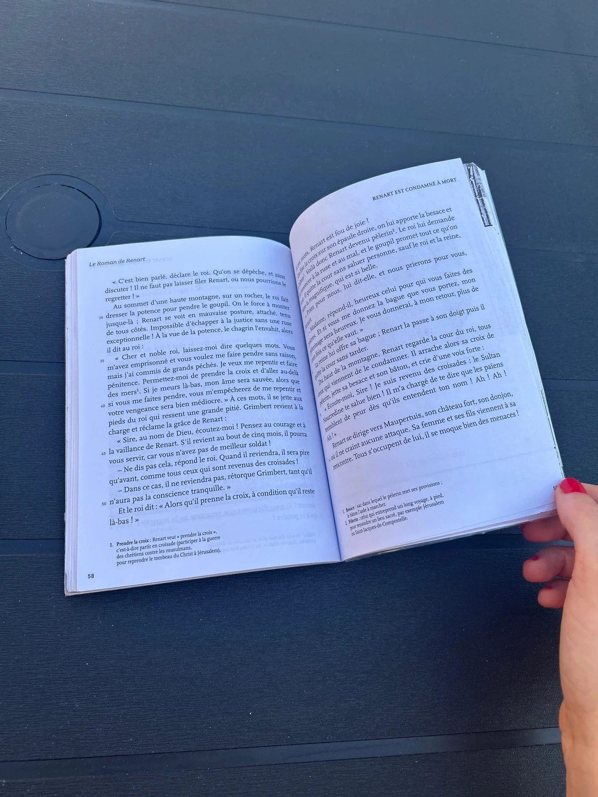 Livro o romance de renart antologia clássicos e vida colégio altura – photo 4